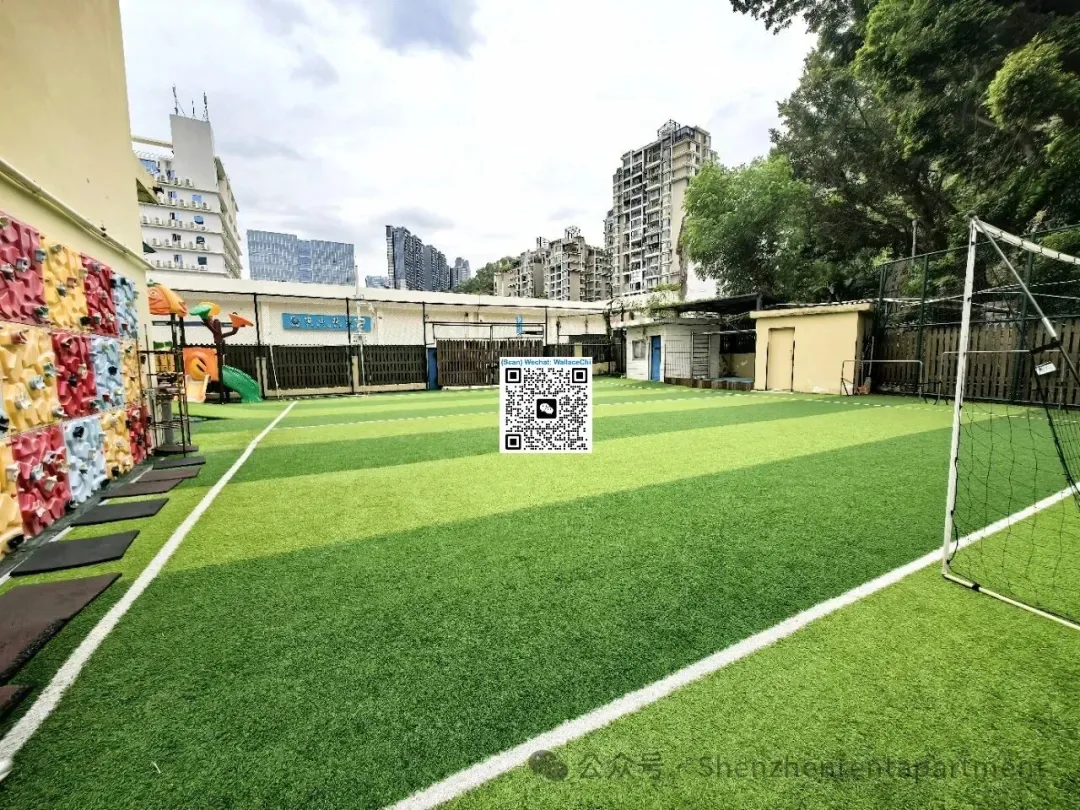Photo 4 of Shekou FTZ – 5‑Storey HQ Building | 1,560㎡ Premium Space with Private Courtyards + Rooftop Deck