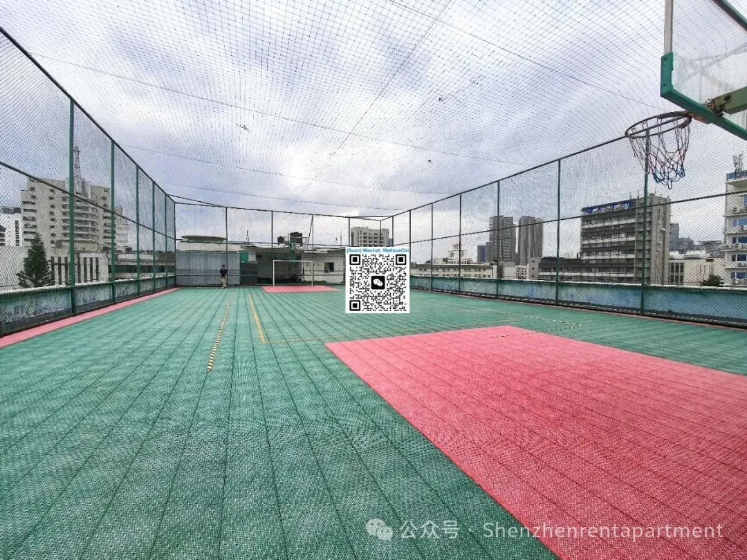 Photo 5 of Shekou FTZ – 5‑Storey HQ Building | 1,560㎡ Premium Space with Private Courtyards + Rooftop Deck