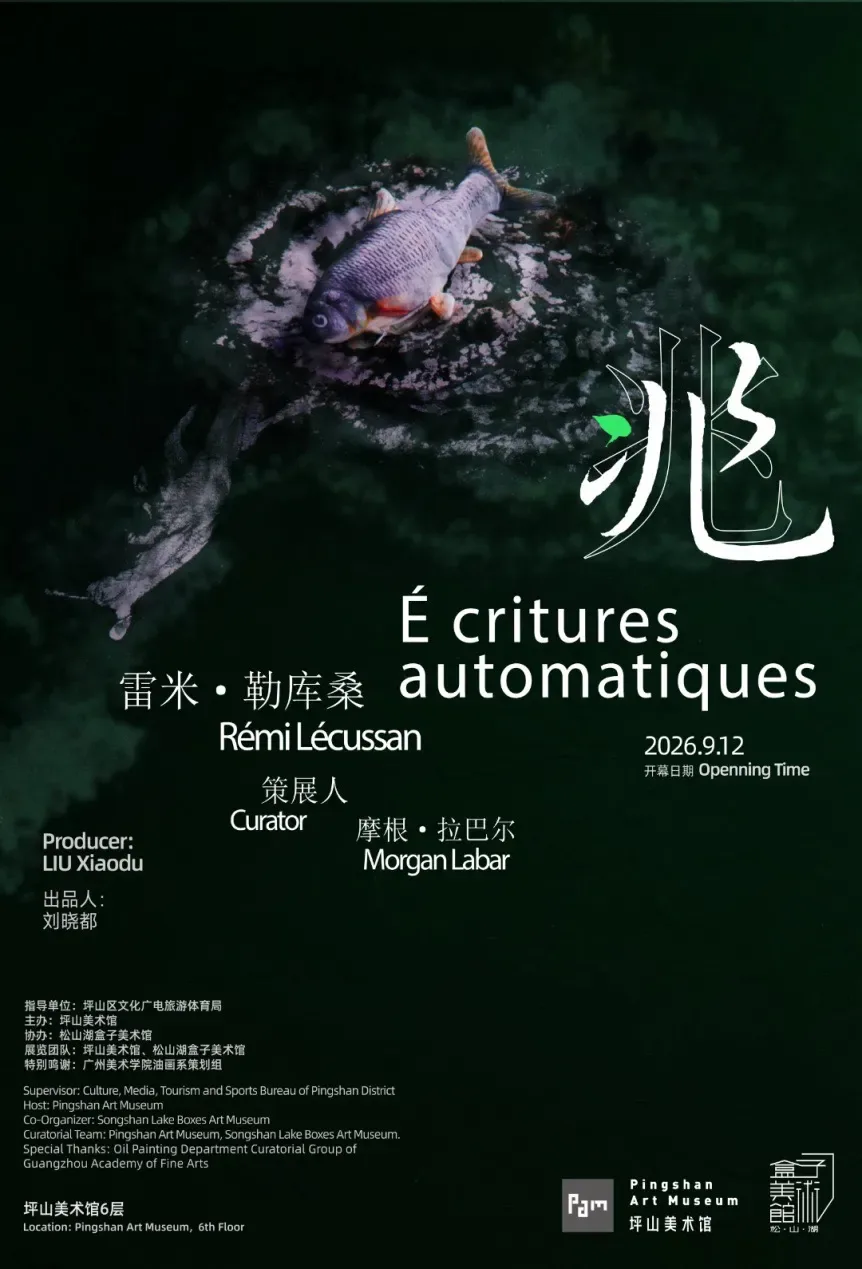 Rémi Lécussan: Écritures Automatiques