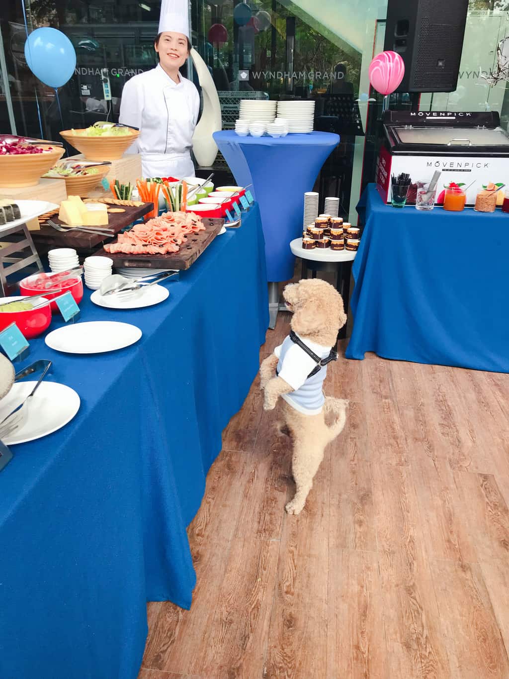 Wyndham Grand Kids Puppy Activity