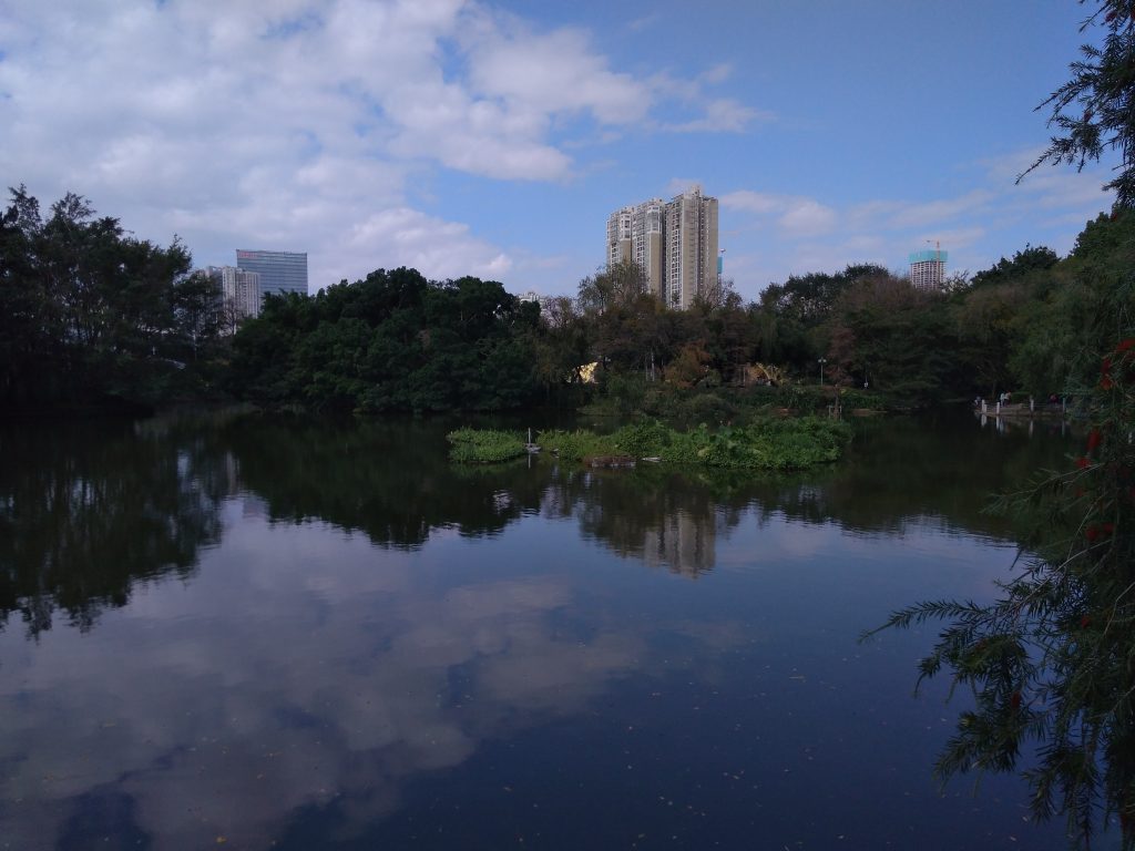 A Park for the People﻿