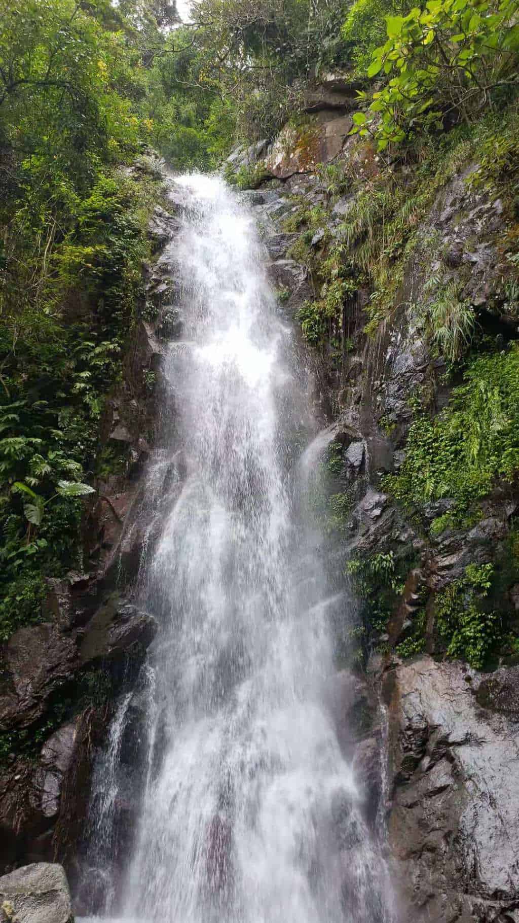 936731930