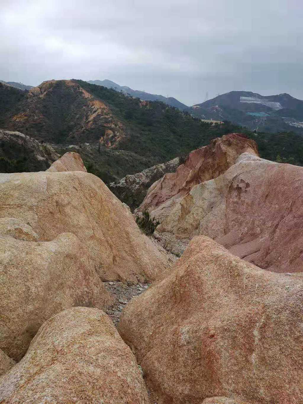 WeChat Image_20190703130853