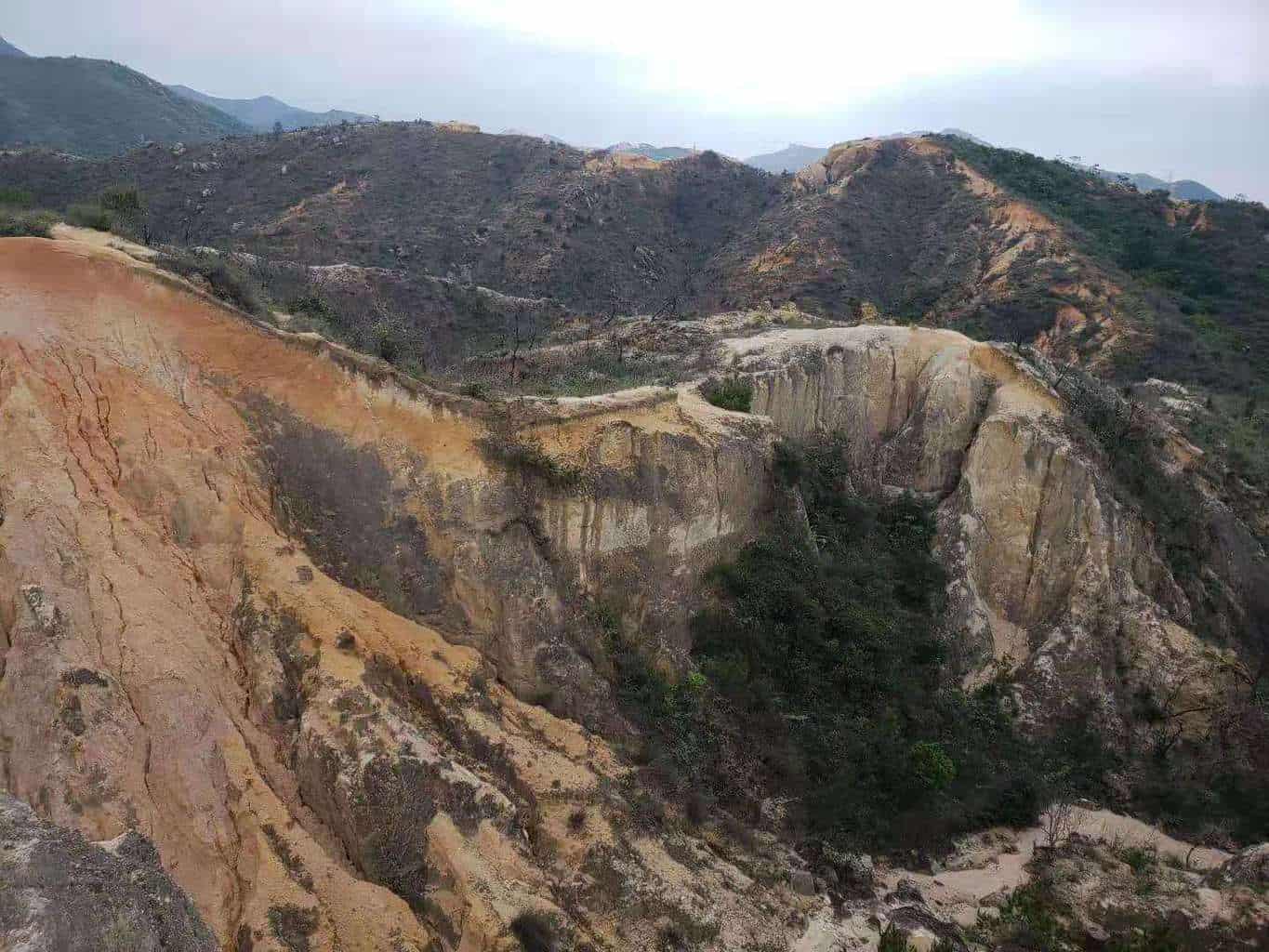WeChat Image_20190703130858