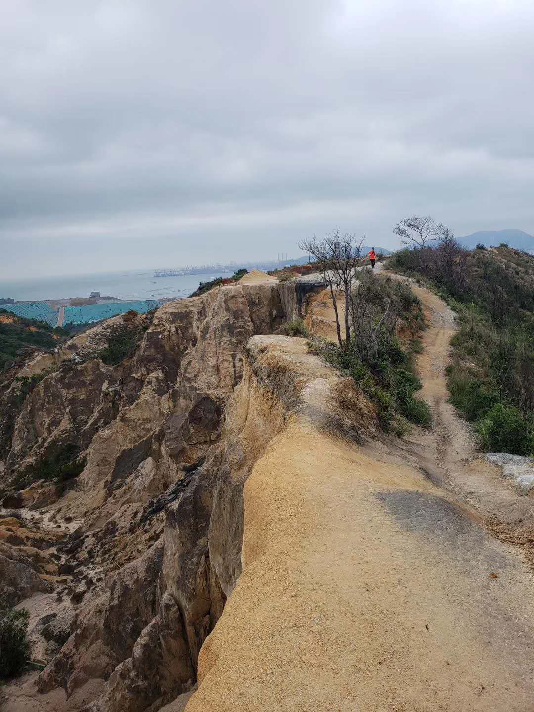 WeChat Image_20190703130901