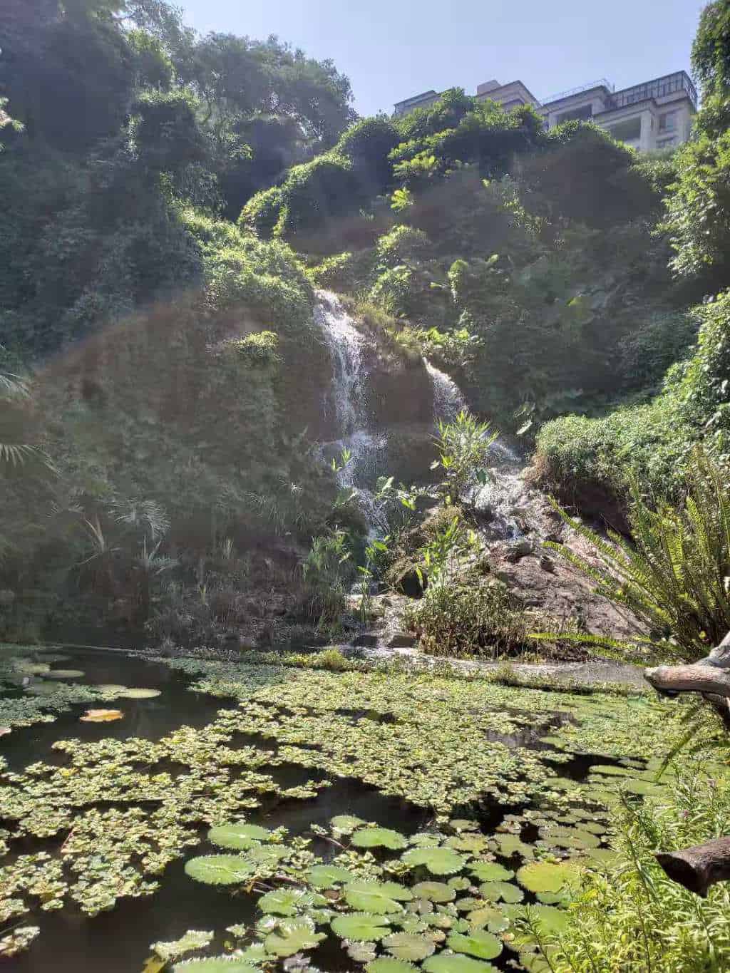 Evergreen Eco Resort in Nanshan