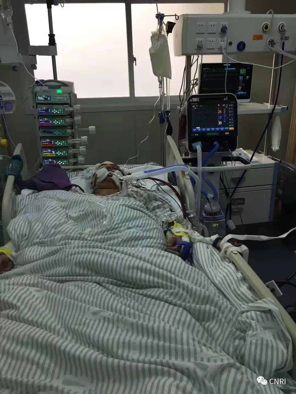 Help a Family - QSI International School of Shenzhen
