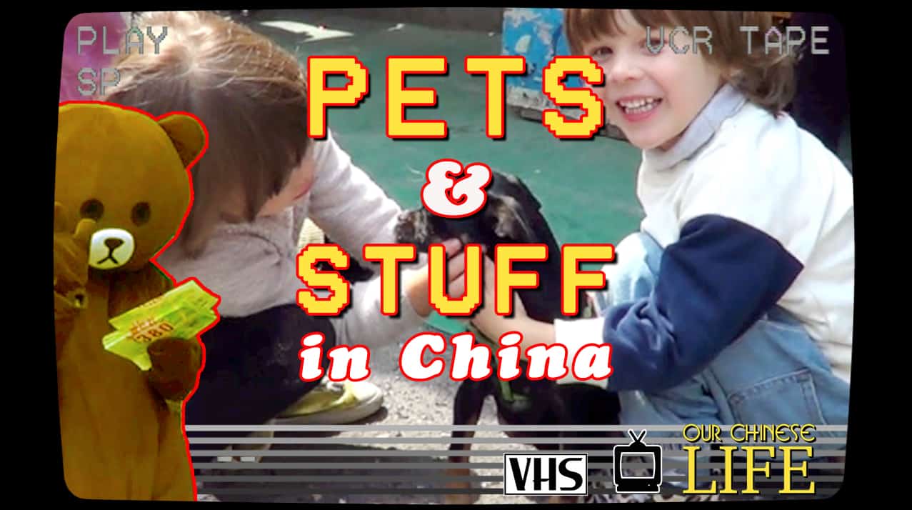 Learn Some Funny Truths About Life in China With Web Show Our Chinese Life