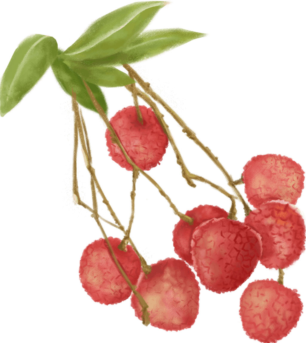 Let’s go to pick Litchi