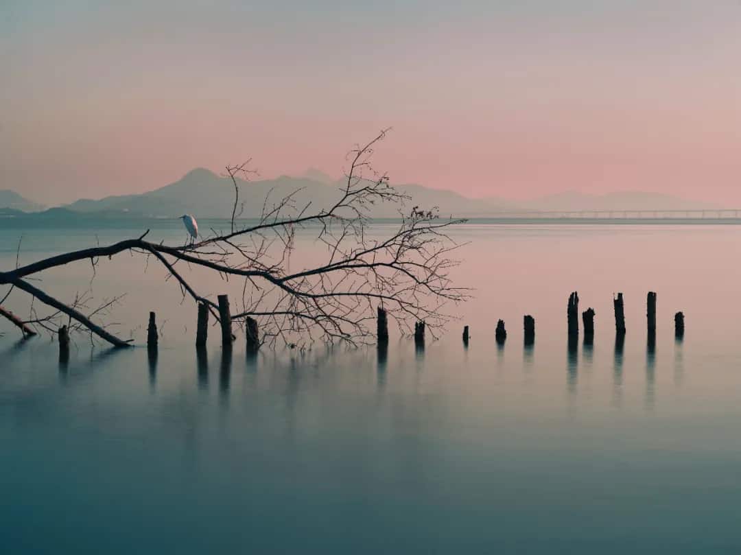 Sign Up for Expats Photo Contest To Win ¥10,000