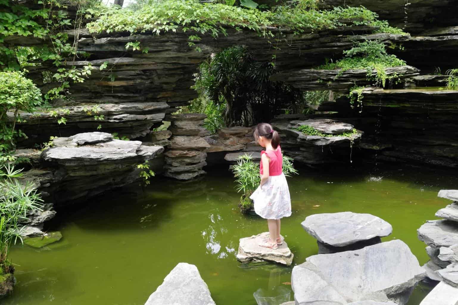 Live Daily News of Shenzhen