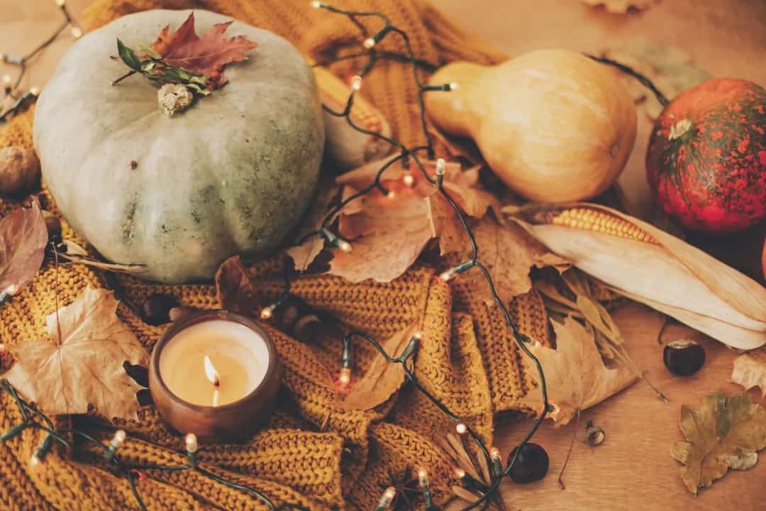 Make Your Fall Better with These 5 Things