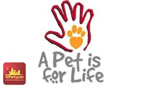 Judy's Dog Rescue- Shekou