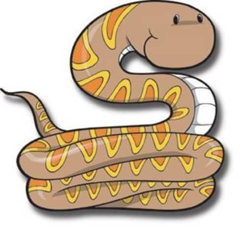 Snakes in Shenzhen…