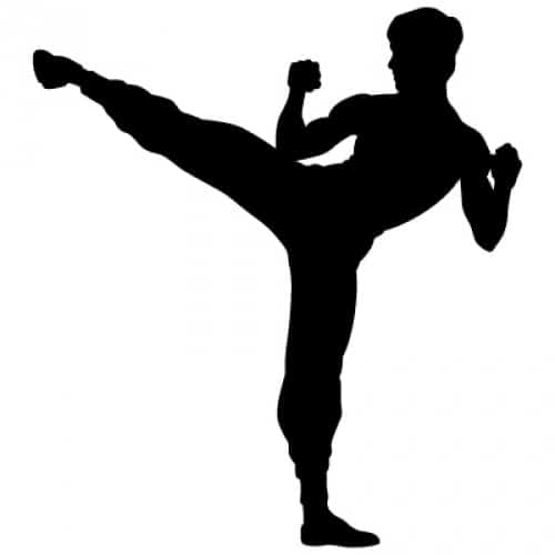 Shaolin Kungfu