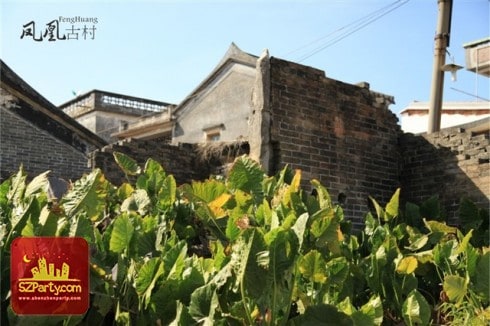 Fenghuang Ancient Village (Phoenix Ancient Village)