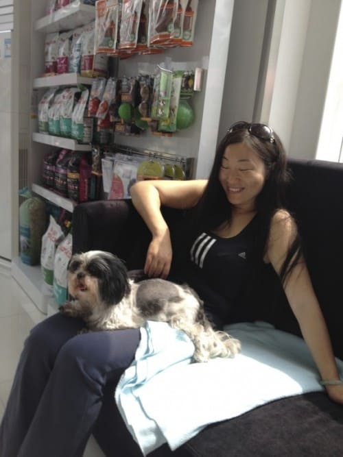 (CLOSED) Drs. Beck & Stone, new Vet clinic, Shenzhen.