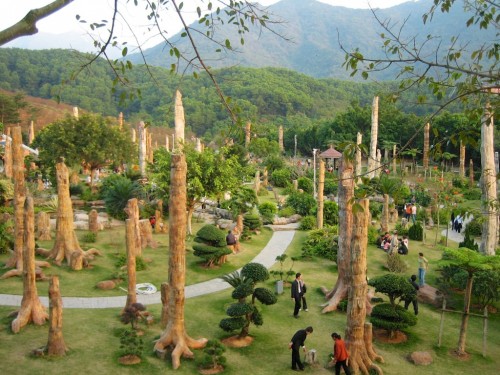 Where to Find a Dinosaur Experience in Shenzhen?