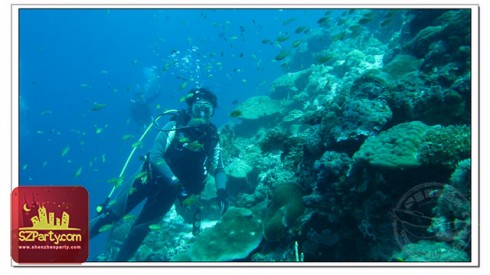 Coral Sea Dive Limited