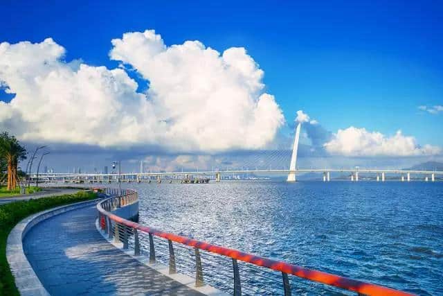 Photo Showcase: Shenzhen's New Western Binhai Promenade (From Sea World to Shenzhen Bay Sports Park)