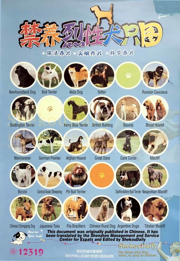 Forbidden Dogs in Shenzhen - These may be confiscated and you fined up to 5,000 yuan