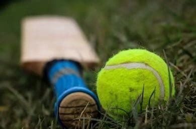 Tennis Ball Cricket is Back