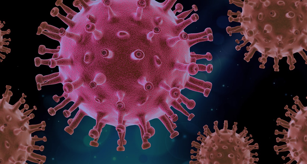 On October 12, Shenzhen added 19 confirmed cases and 7 asymptomatic infections, including 16 imported cases from other provinces and cities