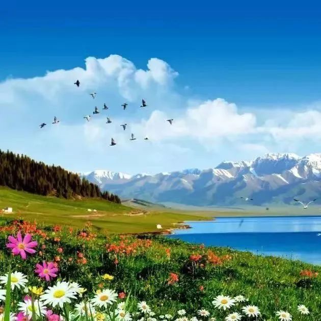 10 Amazing April Vacation Packages: The Wonders of Tibet & More