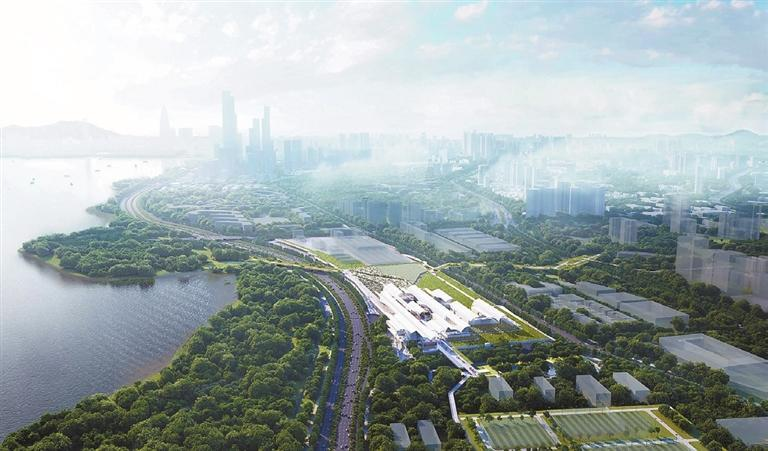 Shenzhen to Build International Mangrove Wetland Center