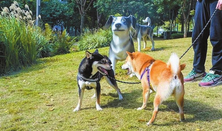 List of Pet Friendly Parks in Shenzhen