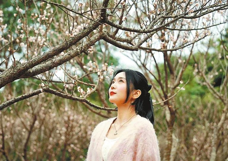 Appreciate elegant plum blossoms in SZ