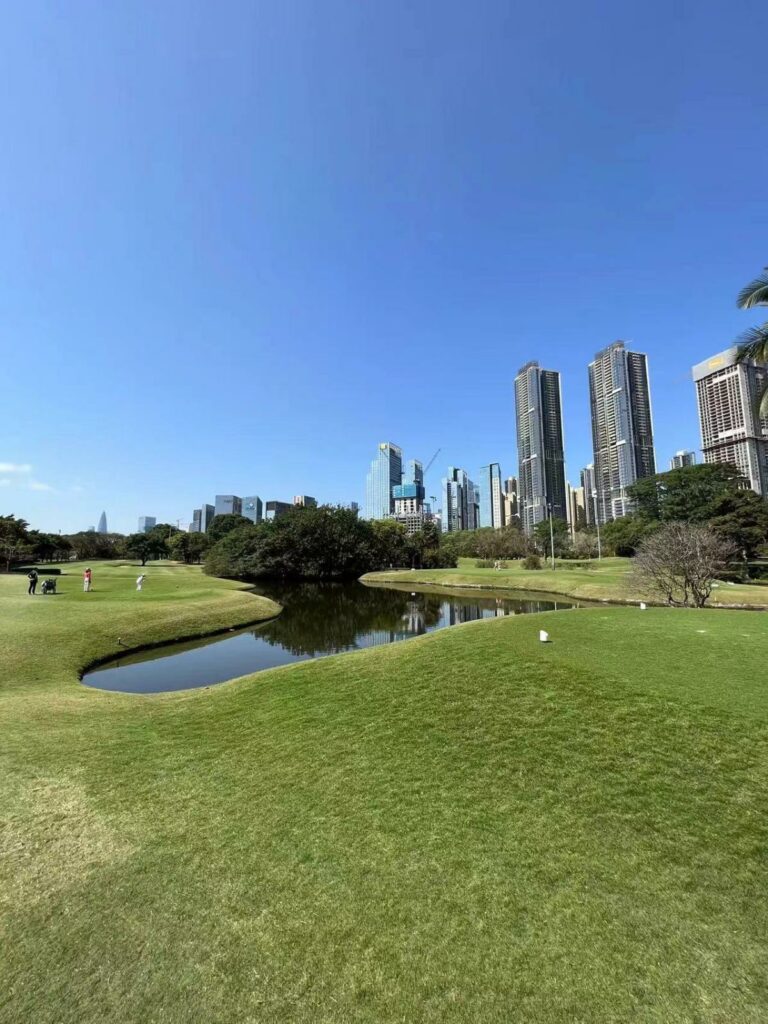 Harbor Plaza Golf Course