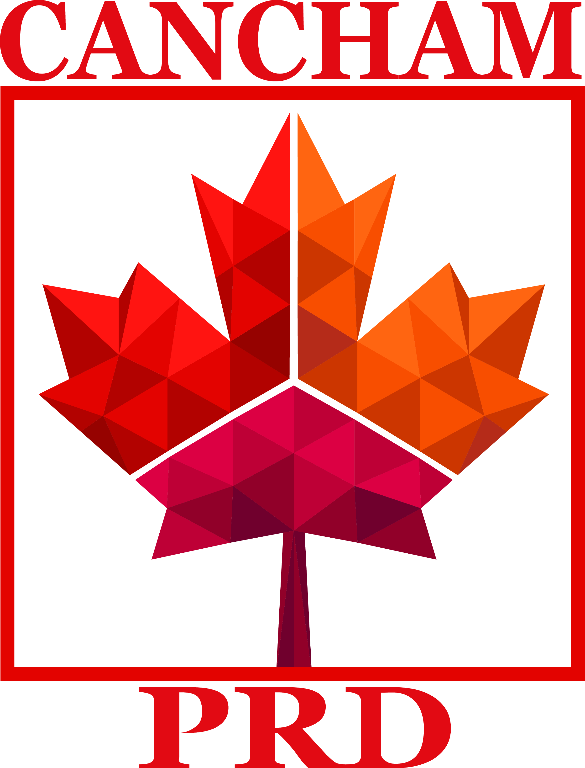 CanCham PRD: Connecting Canada and South China